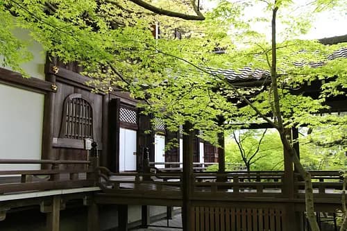 Half-day Kyoto Northern Higashiyama tour