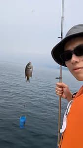 Kada Wakayama Fishing Experience