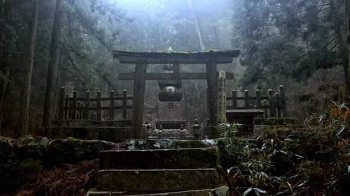 5 Things To Do in Kumano Kodo, the Sacred World Heritage Site