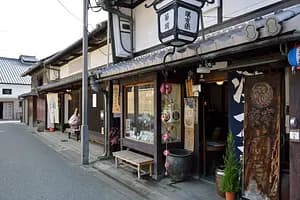Half-day highlights tour of Nara 