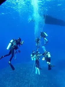 PADI Beginner Passport Diver Program: Discover Okinawa’s Hidden Underwater World