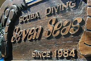 Scuba Diving Near Tokyo for International Travelers