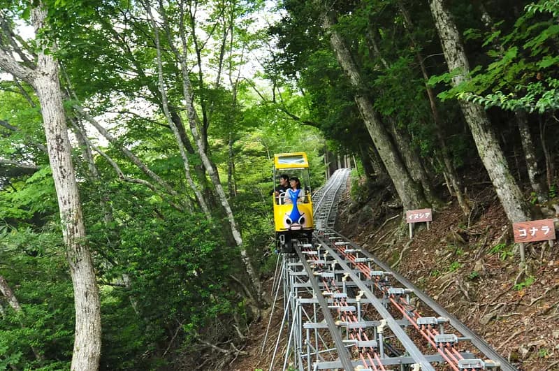 Okuiya Sightseeing Tour Monorail