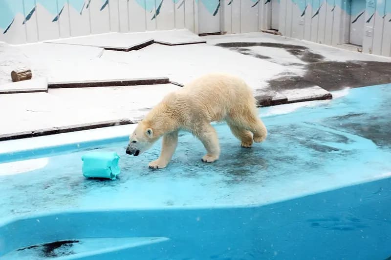 Kushiro City Zoo