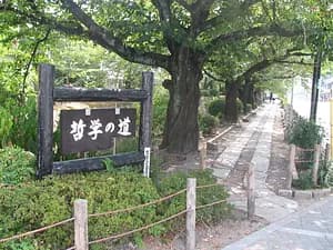 Half-day Kyoto Northern Higashiyama tour