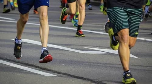Okayama Marathon: Running Through a Historical Castle Town