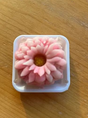 Wagashi Sweet Making Workshop