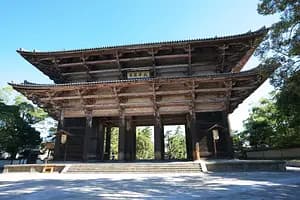 Half-day highlights tour of Nara 