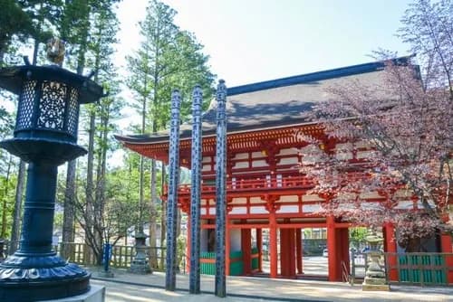 A Visit to Mt. Koyasan - Japan World Heritage Site
