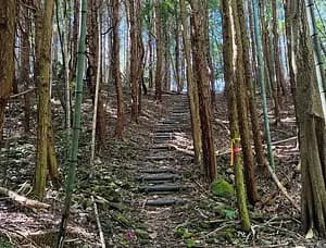 Private Yabakei Gorge hiking and Rakanji Temple Tour