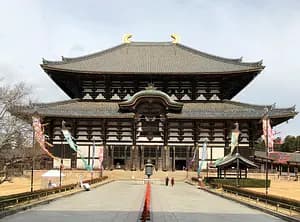 My Deer Park ~Nara Park 4-hour Walking Tour~