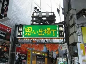 Tokyo Metropolitan Gvernment observatory, Omoide Alley and the food section of the department store! 