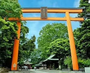 Explor Kawagoe city! Experience Tour and Soy sause factory tour!