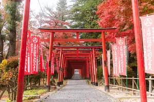 【Registration is currently closed】　“Discover Tamba-Sasayama: From Historic Streets and Scenic Nature to Hands-On Tamba-yaki Pottery”