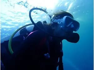 Tokyo Area NAUI Beginner Passport Diver Tour