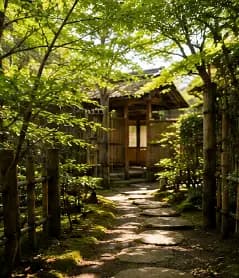 Private Tea Ceremony in Kanazawa — With Hotel Pickup and a Master Who Has Done This Every Morning for Decades