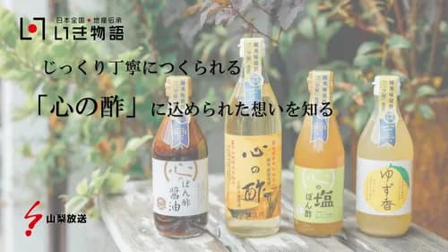 Kokoronosu Vinegar