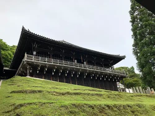 My Deer Park ~Nara Park 4-hour Walking Tour~