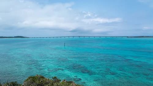 You cannot leave Okinawa unless try the regional unique foods