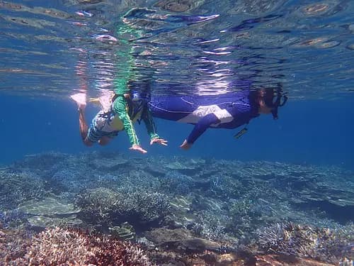 Snorkeling Near Tokyo for International Travelers