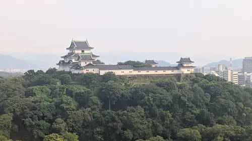 Hidden Gem: Wakayama Castle Tour 