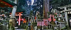 From the Kyoto's most mystic Shrine, Oiwa Jinjya to Fushimi Inari Taisya