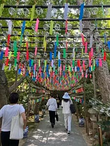 A Tour to Experience the Traditions and Culinary Delights of Ogori, the Town of Ducks"【Fukuoka, Ogori】