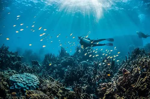 PADI Beginner Passport Diver Program: Discover Okinawa’s Hidden Underwater World