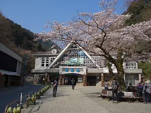 Nature Escape: Mt. Takao Hike & Natural Hot Spring