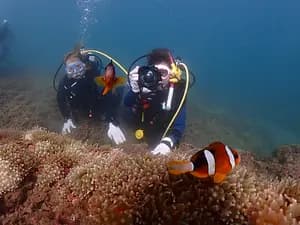 PADI Beginner Passport Diver Program: Discover Okinawa’s Hidden Underwater World