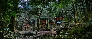 From the Kyoto's most mystic Shrine, Oiwa Jinjya to Fushimi Inari Taisya