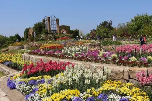 Spend your day at the Uminonakamichi Seaside Park in Fukuoka Prefecture