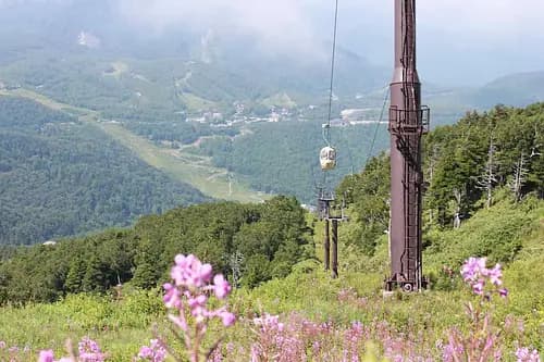 Shiga Kogen Highland