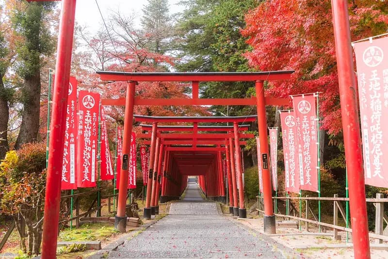 Makekirai Shrine (Ojiyama Makekirai Inari)