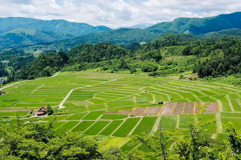 Kunugidairanotanada Terraced Paddy Field