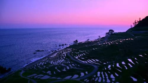 Fantastic illuminations at the rice field terrace