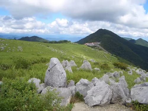Shikoku Karst:Stunning Plateau of Limestone and Cows