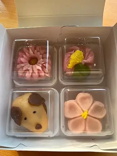 Shikoan (Wagashi-Making Workshop)