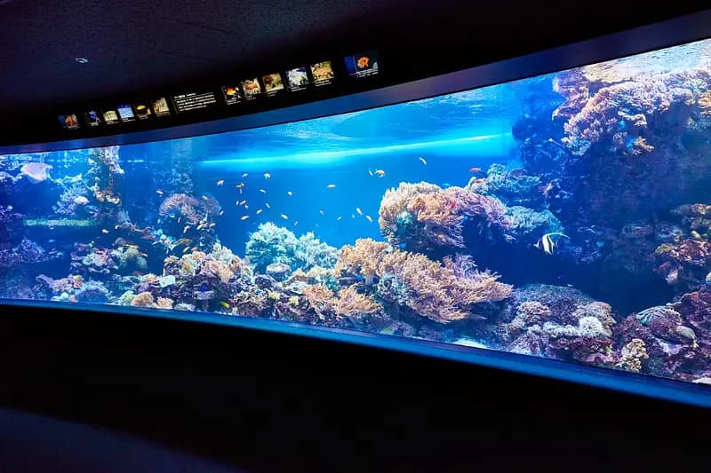 Sunshine Aquarium