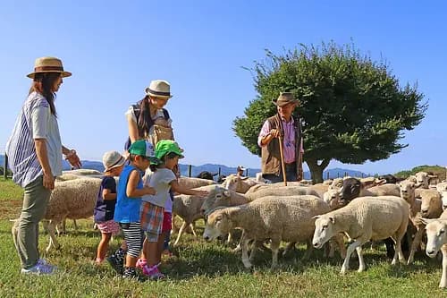 Mother Farm