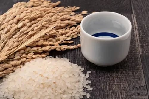 Come And Enjoy Amazing Sake At Saijo, The “Sake Town” In Hiroshima