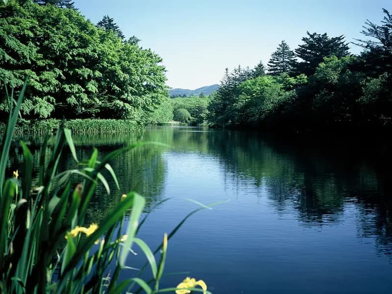 Kumobaike Pond