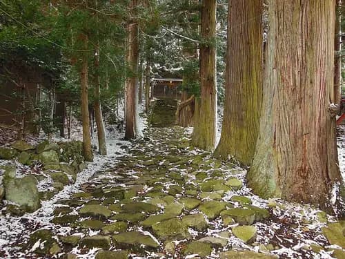 Shionomichi Trail (Salt road)