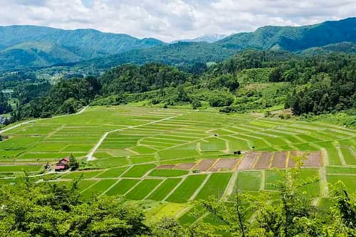 Kunugidairanotanada Terraced Paddy Field