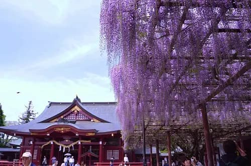 Kasama Inari Jinja Shrine