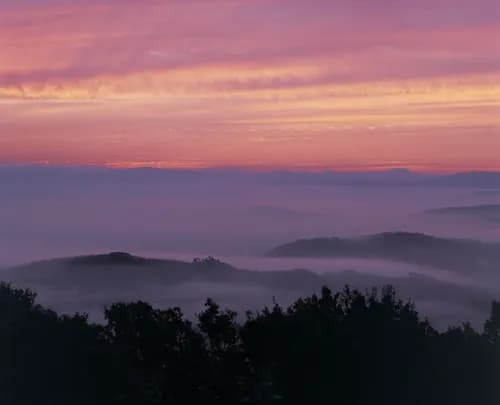 The Magical "Sea of Fog" at Mt. Takatani in Hiroshima
