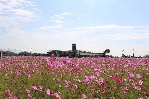 Nagai Uminote Koen Park Soleil Hill