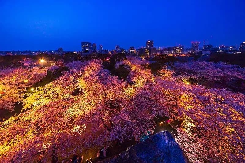 Maizuru Koen Park