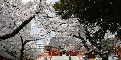 【掲載不可】Hanazono Jinja Shrine