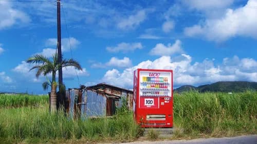 Okinawa: A Long Life and A Wonderland Of Vending Machines!